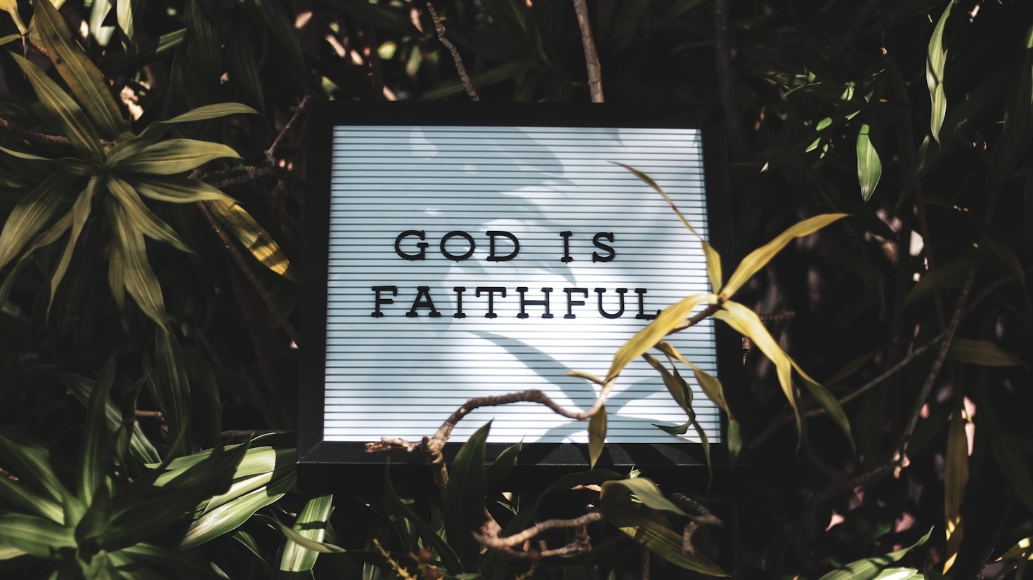 How Our Community Supports Spiritual Exploration